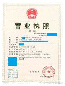 上海注冊非中介留學服務公司 類別、經(jīng)營范圍與票務代理指南